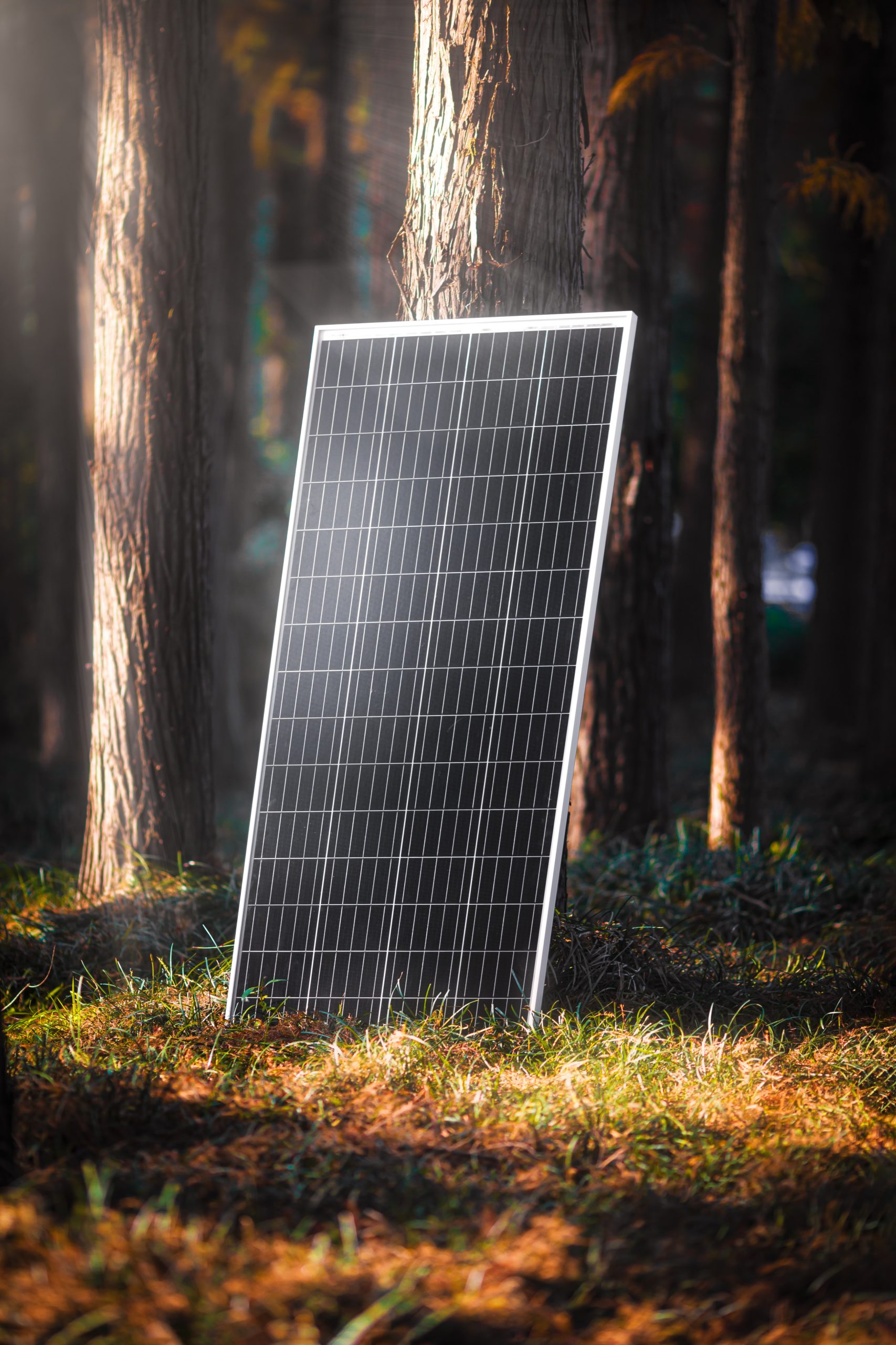 Solar-Panel_stockImage-SolRec